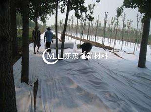 反濾機制下土工布孔隙結(jié)構(gòu)變化研究