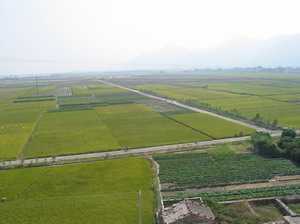 農(nóng)田土整資料專題