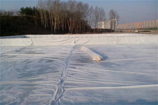 一文看懂在瀝青路面修建時(shí)鋪設(shè)土工布的作用  第2張