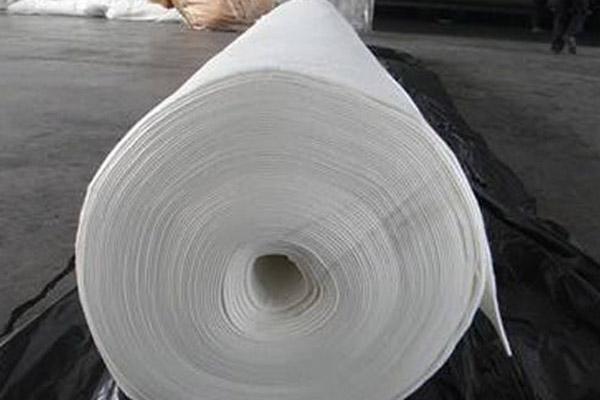 土工布的應(yīng)用領(lǐng)域及其獨(dú)特優(yōu)勢解析  第2張