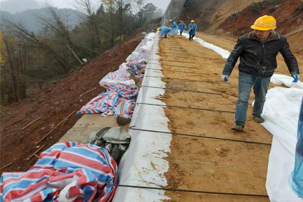 高強加筋土工布在制作時加不加防水涂料呢？  第3張