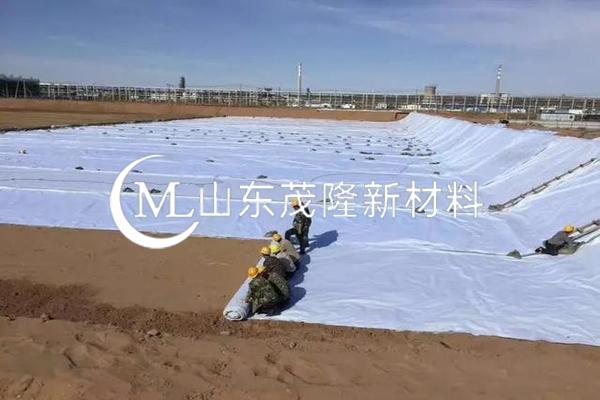 《山東濱州垃圾填埋場(chǎng)》土工布施工